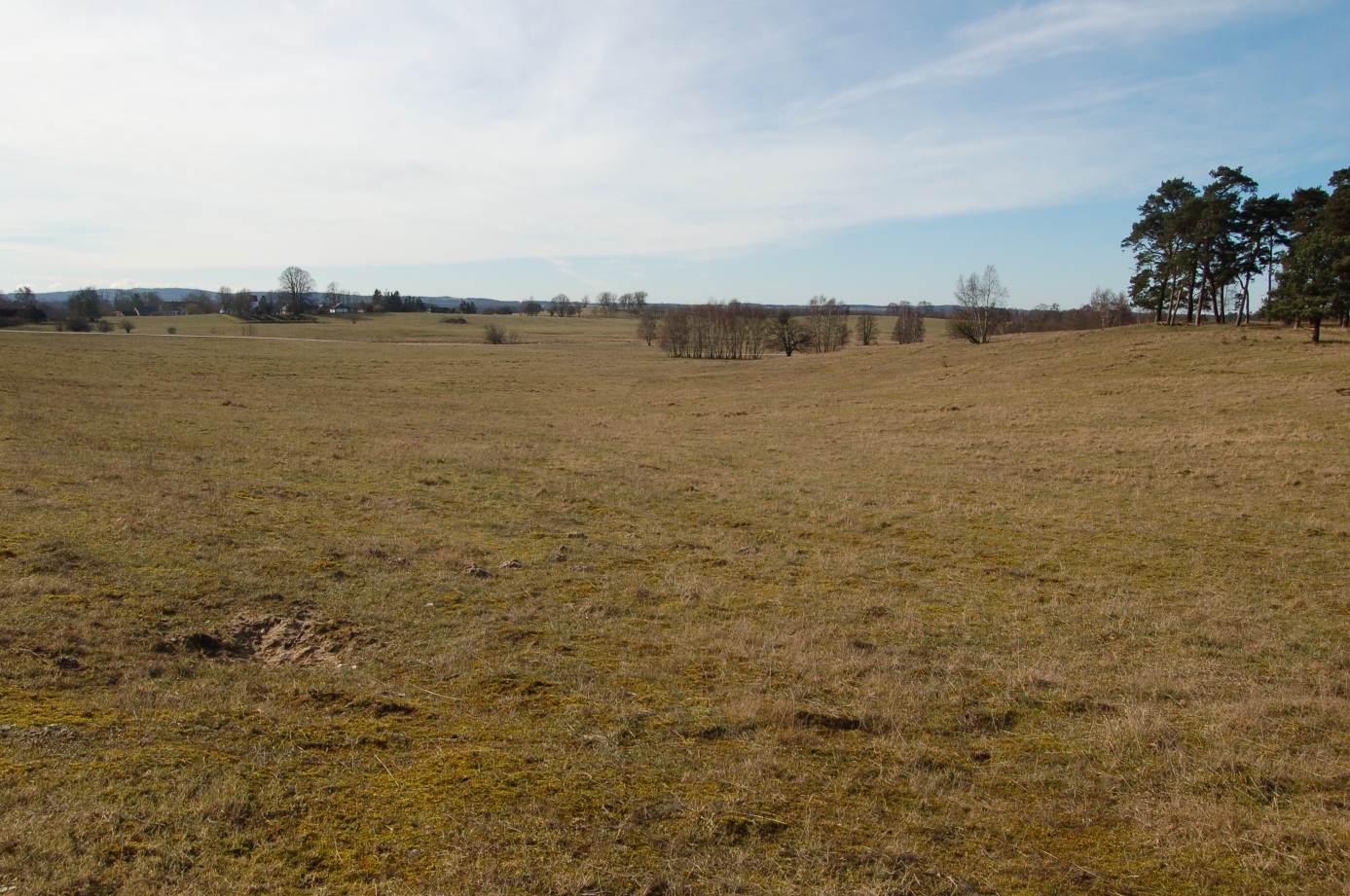 1 Sand Life (Life 11 NAT/SE/000849): Restaureringsplan för Natura 2000-området Revingefältet (SE0430113) i Lunds kommun Revingefältets vidsträckta inlandssanddyner ner mot Krankesjön. Figur 1.