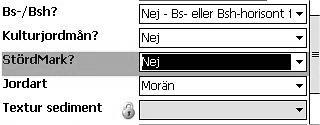 (Kod) Nej (0) Ja (1) Störd markprofil kan uppkomma på många vis och orsaken kan vara såväl mänsklig aktivitet som naturliga händelser.