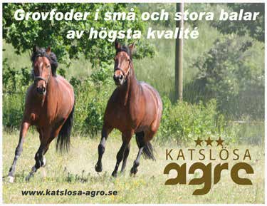 Båda hästarna kördes elegant av Christoffer Eriksson och totalt blev det 0.000 nok in till stallet. Därmed passerade Riordan åter Mkr-strecket i inkörda pengar - ifjol blev det, Mkr.
