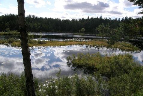 Utsikt över Långsjön från västra änden. Kvarnsjön-Lissma Vid Kvarnsjön i Lissma finns en av Huddinges artrikaste trollsländemiljöer.