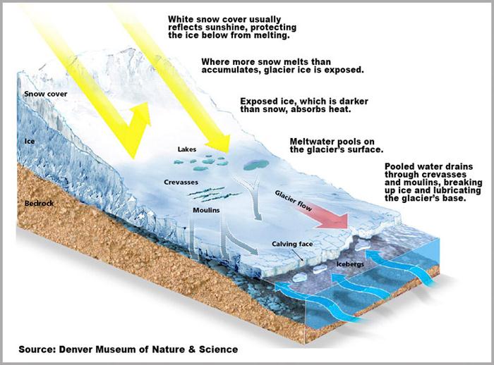 Om glaciärer och inlandsisar Smältvatten till botten