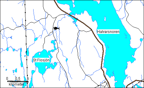 8 Fångst öring per 100 m 2 i Flosjöbäcken, stn 3 0+öring >0+öring 40 30 Antal 20 10 0 1993 2000 Resultat från elfisket år 2000 jämfört med tidigare år.