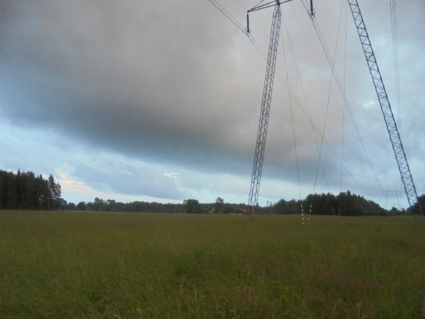 Vi skrämde måsarna på flykt på