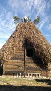 Framtidens Bungemuseum en utredning