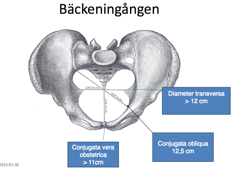 8. kl 13.40 Ditt besök uteblir och din kollega Pia passar på att komma in till dig och fråga lite inför att hon ska ha en barnmorskestudent imorgon.