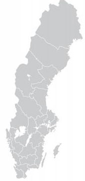 Planering och genomförande - nedslag i Halmstad, Växjö, Uppsala och Mora Barbara