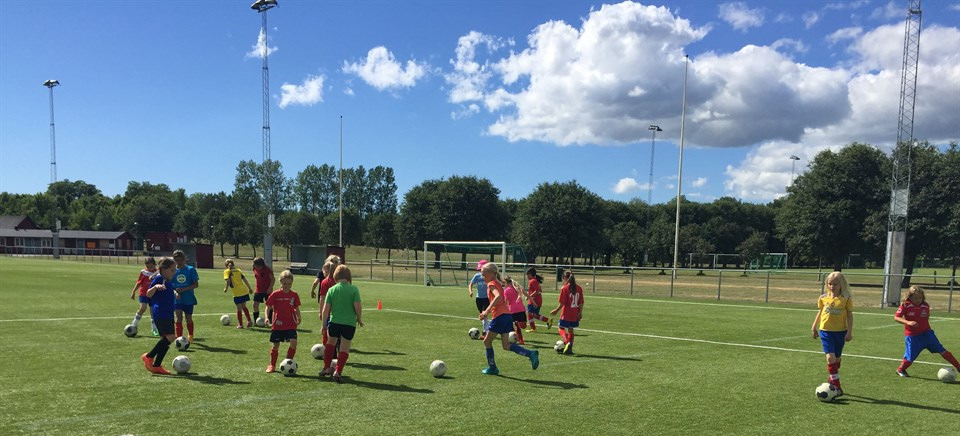 Sportlovsfotboll För dig mellan 5 och 12 år Harrie FF bjuder in till en svettig träningstimme med sportlovsfotboll. Här får ni möjlighet att träffa våra härliga fotbollsungdomar.