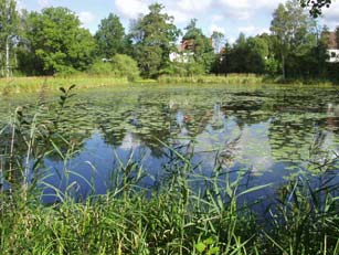 nedströms Borås.