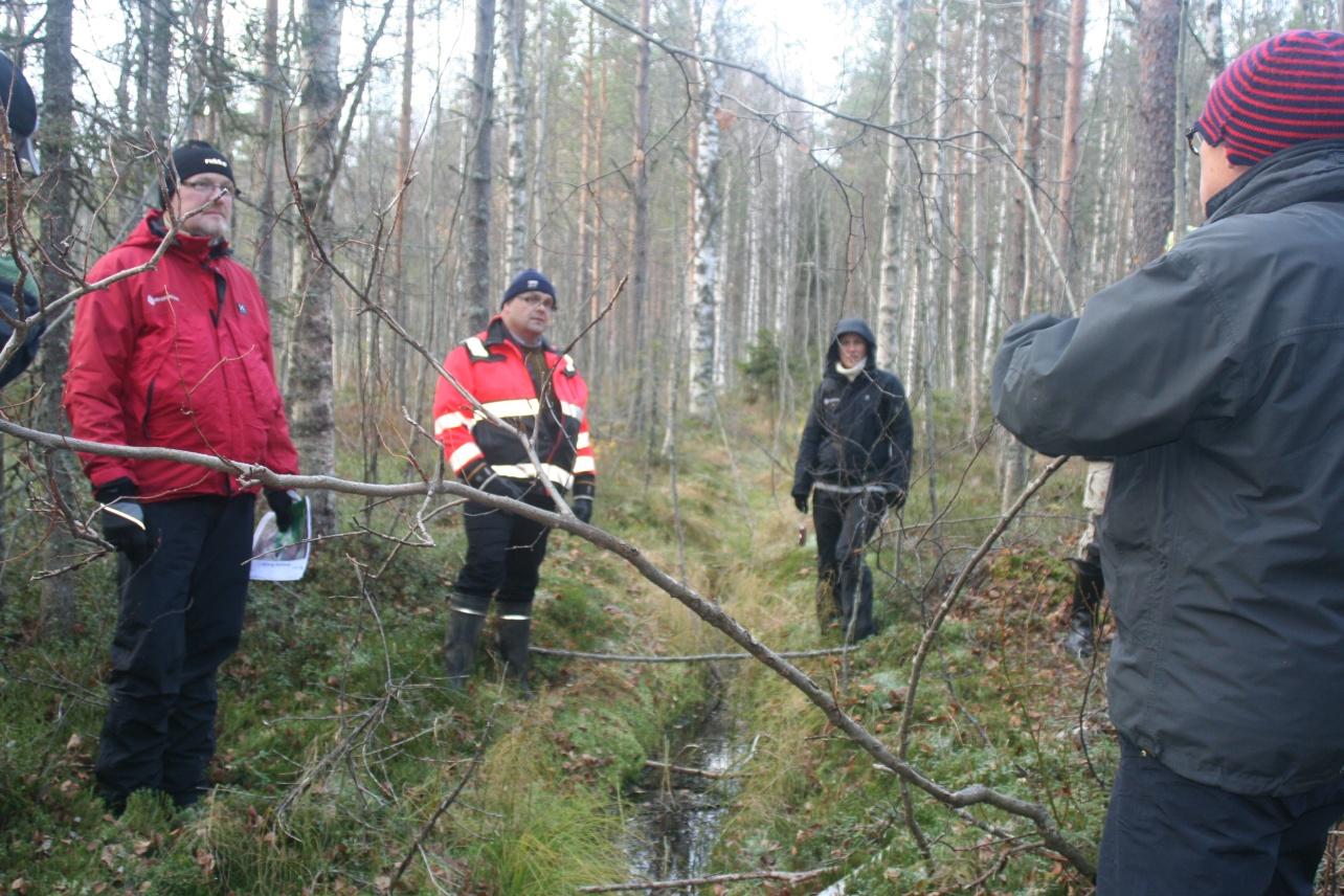 Torvmark Rensningsbehov? Skillnad i syn. Finland = Dikat område kompletterings diken OK. Sverige OK att rensa dike.