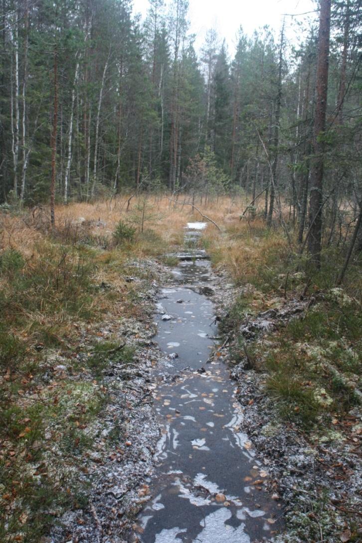 Översilning Använda möjligheterna naturen ger I detta fall låta