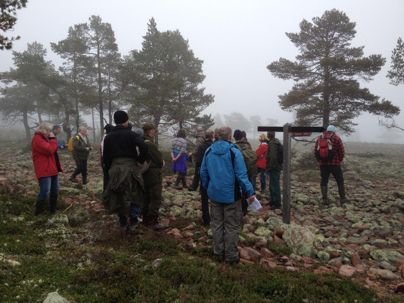 Verksamhetsberättelse 2012 Institutionen för ekologi, miljö och geovetenskap EMGs GU-exkursion till