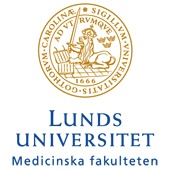 Oxytocin, barnmorskans färdknäpp vid normal förlossning En studie om användandet av syntetiskt oxytocin vid handläggning av normal förlossning.