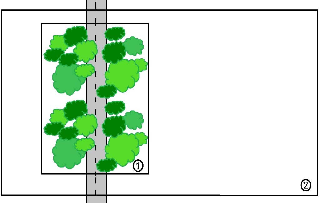 Figur 25. Precis i den del av gaturummet där träden placeras (1) blir luftkvalitén sämre, men de kan samtidigt göra att luftkvalitén i ett större område(2) förbättras.