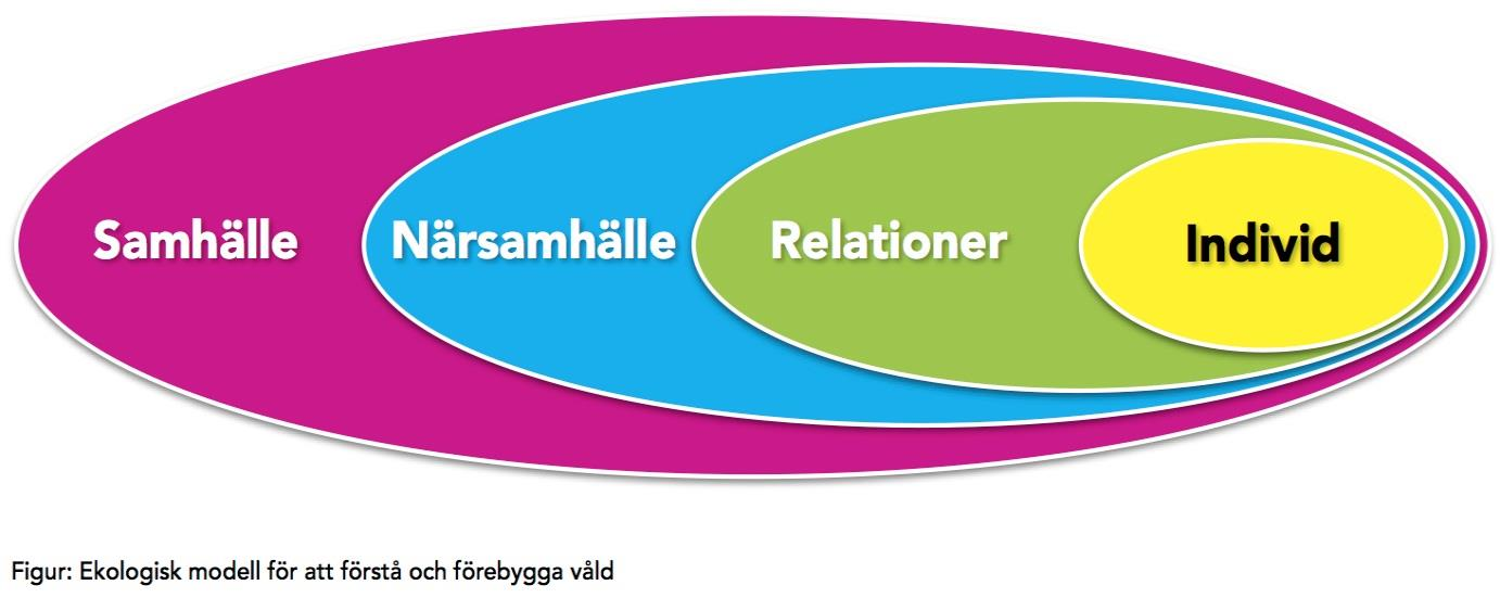 10 (24) Den första nivån består av en individs biologiska och psykologiska förutsättningar, kön, ålder och ekonomisk status.