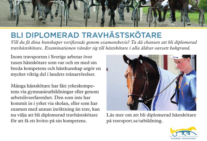 SOLVALLA (lopp 9) DISTANS AUTOSTART START BANKOD 2140 m b 21:25 05 V3-2 TRIO TVILLING Tjejkväll 25 Mars // Stolopp 36 VINNARE Ston 350.001-950.000 kr. Pris: 80.000-35.500-19.000-10.600-7.600-(5.