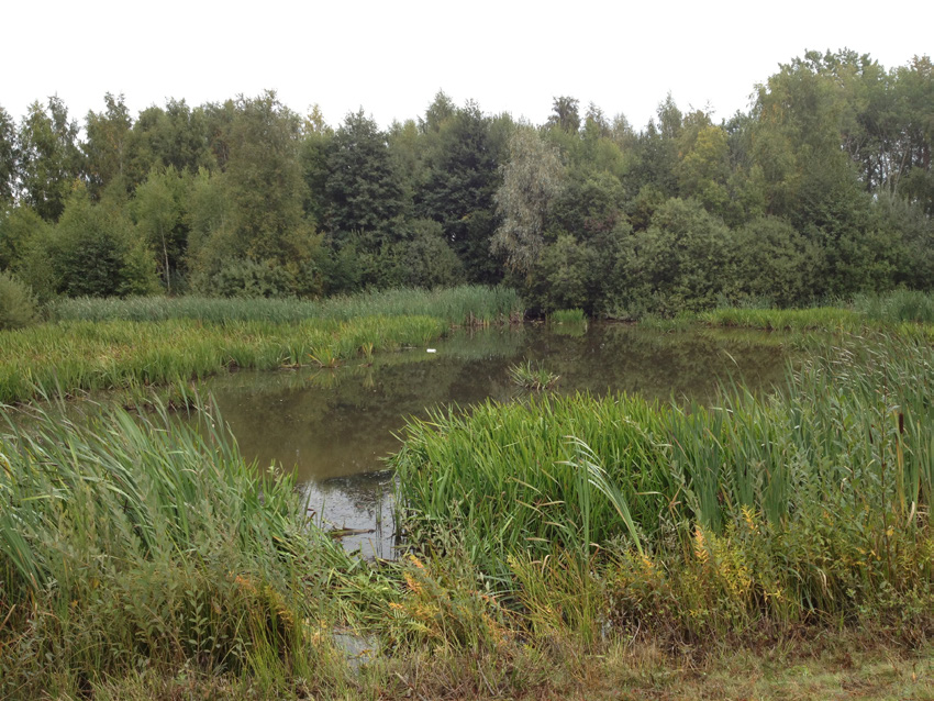 också ett rekreations- och fågelområde som utgör delar av ett större naturreservat. Den hårdgjorda ytan utgör totalt 140 hektar av avrinningsområdet.