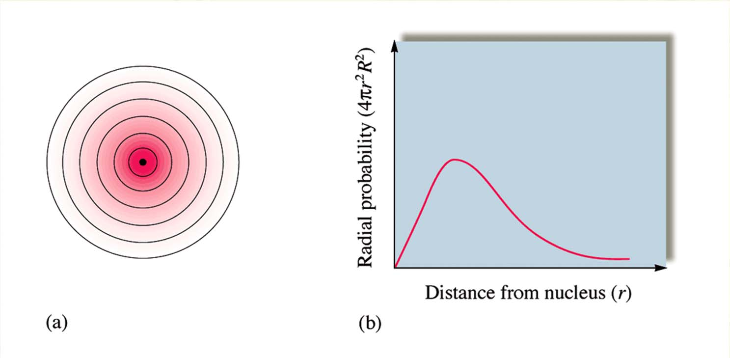 Avsnitt 7.5 Den kvantmekaniska atommodellen Den radiella sannolikhetsdistributionen.