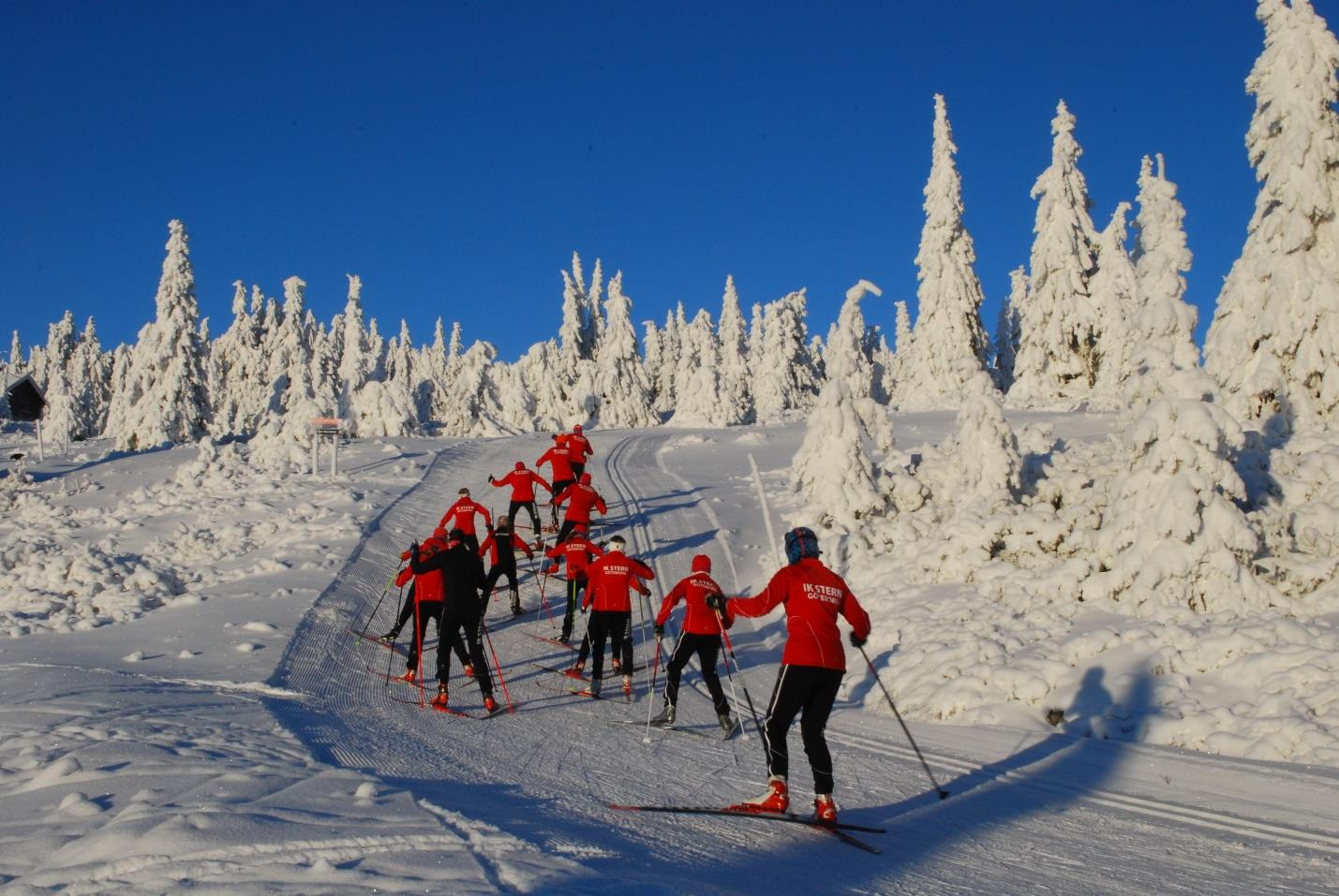 UNGDOMSSEKTIONEN SKIDOR Vi är ett glatt gäng som tränar på onsdagar, oftast i Skatås. Träningen är för barn, ungdomar och juniorer mellan 8 och 20 år, vi tränar mellan 18.00 och 19.45.