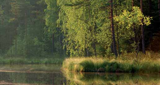 KLIMATNEUTRALITET Verksamheten i Malmö klassificeras idag som klimatneutral.