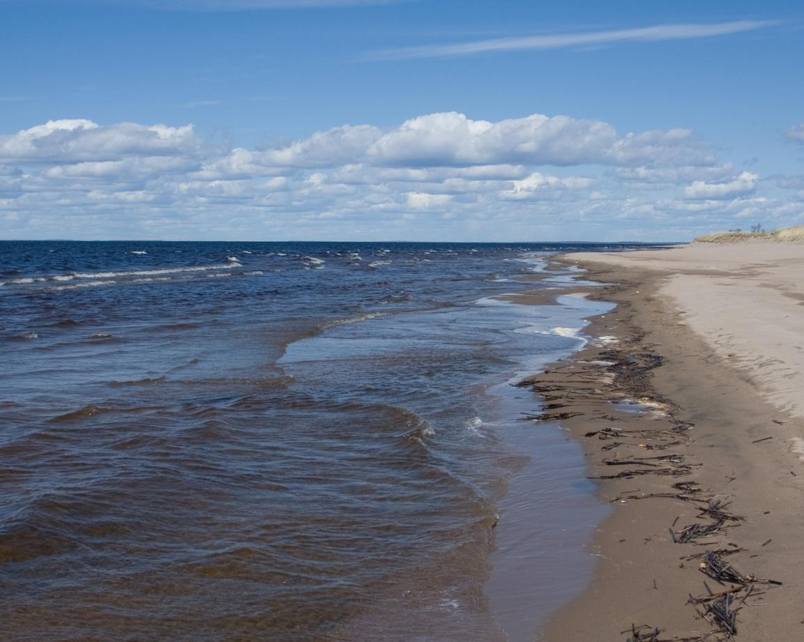 Havslekande sikens och siklöjans yngelproduktionsområden framhåller sandsträndernas betydelse. Bakgrunden och upplägget till de tidigare utredningarna har dock varit en annan än detta arbetes uppdrag.