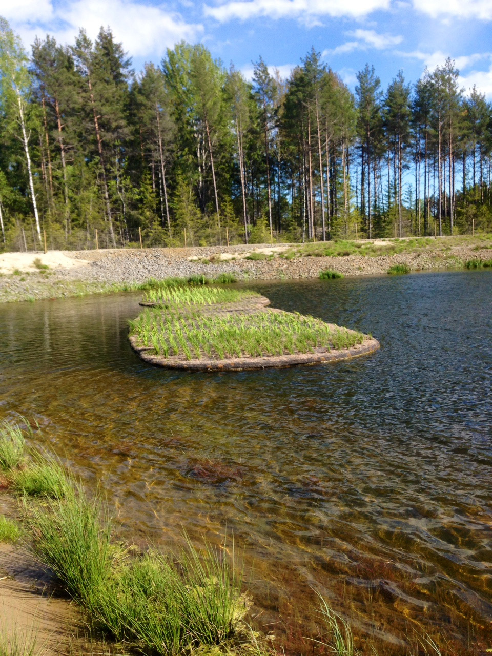 INLEDNING Haninges dagvattenstrategi är ett verktyg för att skapa en hållbar dagvattenhantering. Den innehåller övergripande mål och strategier.