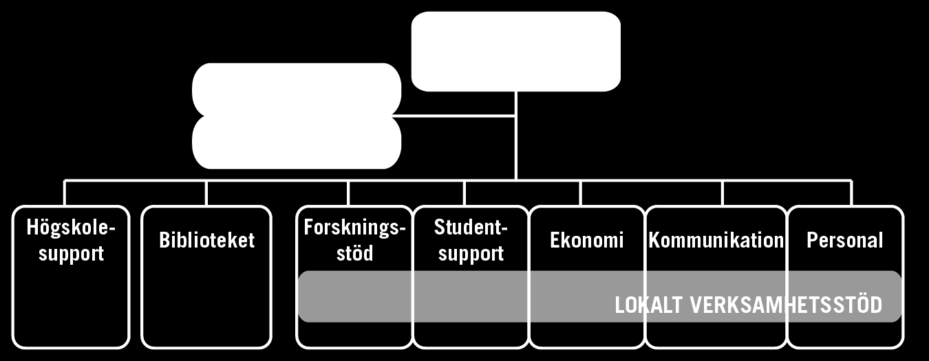 Karriärvägledning Studenthälsan Studentombud Internationalisering Stöd VFU Stöd för uppdragsutbildning Ekonomi: Funktionens uppgifter utförs centralt och lokalt samt består huvudsakligen av: Ekonomi