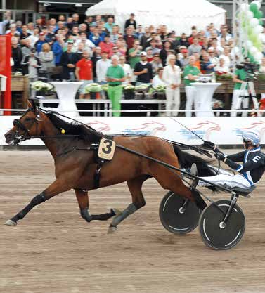 HalmstadTravet Måndag juli Första start kl.