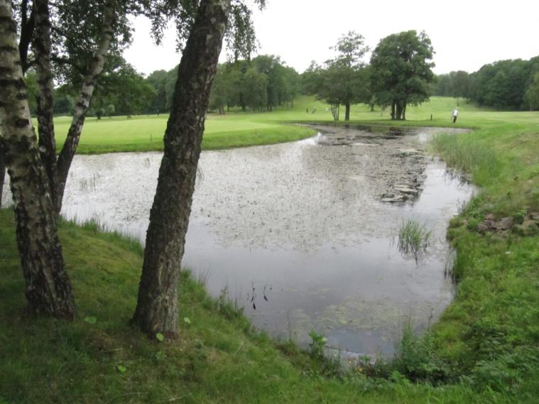 En första återinventering, Albatross golfbana En första återinventering utfördes av Emil Nilsson och Lars Arvidsson, Park- och naturförvaltningen, Göteborgs Stad, 2012-08-09.