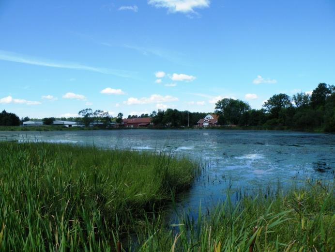 Bakgrund Park- och naturförvaltningen, Göteborgs Stad, har på uppdrag av Länsstyrelsen i Västra Götalands län tagit fram handlingsplaner för de sällsynta vattenväxterna spetsnate, Potamogeton