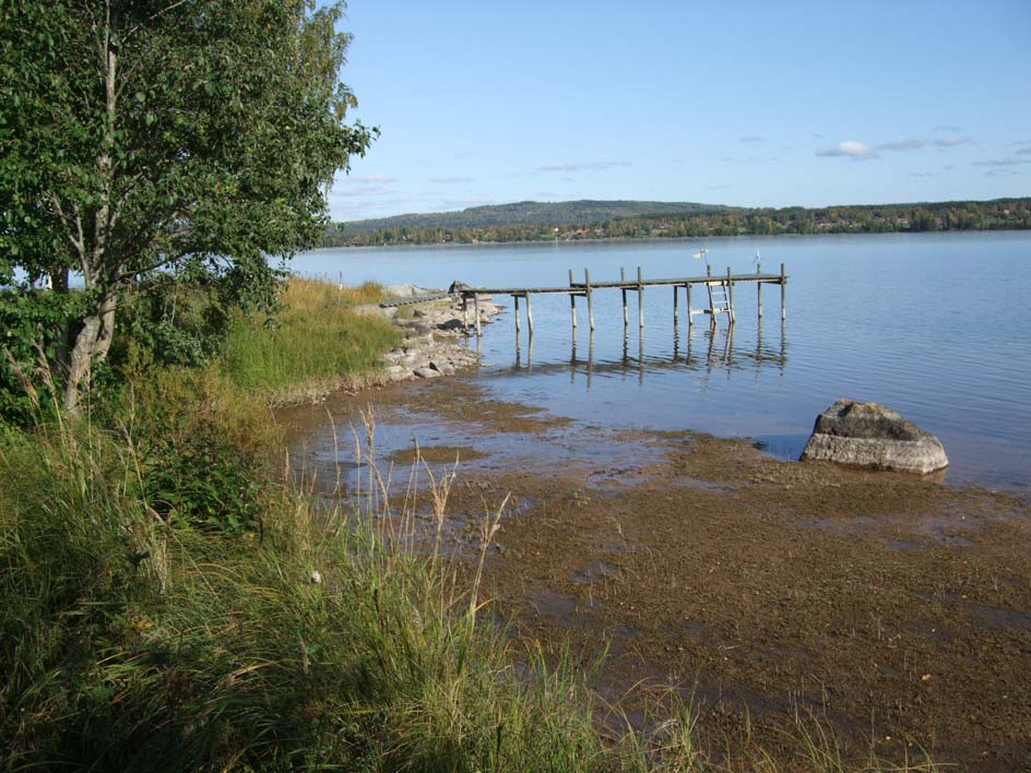 Strandskyddsinventering för LIS-områden i