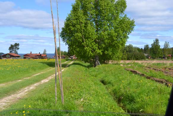 Bäck nr 2, djup skyddsvärd bäckravin Bäckar kan också gå igenom brukad skog och där bedöms ett skyddsavstånd på en trädlängd, ca 30 m, behövas. Ofta är bäcken omgjord till ett grävt dike.