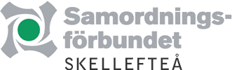 Sid 1 (5) Projektrapport Unga, vuxna 16-35 år Projektnamn: Tillväxtfaktor Skellefteå Projektägare: Skellefteå Kommun, Arbetsmarknadsenheten Rapporten har skrivits av: Projektledare Kenneth Sundberg