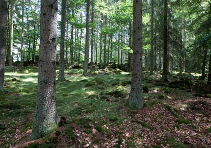 Det rofyllda Punkt 57 Det rofyllda 95 procent Bullernivå Ingen Punkt 80 Det rofyllda 60 procent Bullernivå Ingen Punkt 89 Det rofyllda 65 procent