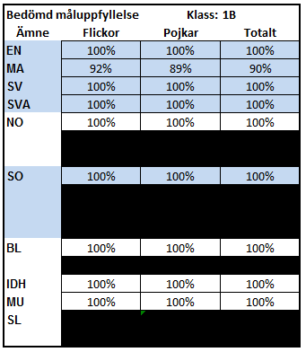 2 Måluppfyllelse i arbetet