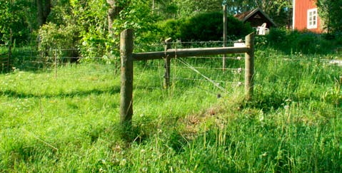 Du måste underhålla ditt elstängsel Underhåll är en förutsättning för att stängslet ska fungera. Uppväxande vegetation som ligger mot trådarna ska röjas undan, som regel minst 1 2 gånger per år.