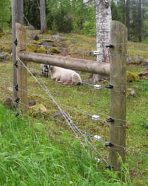 Stadigt avslut av stängselsträcka före