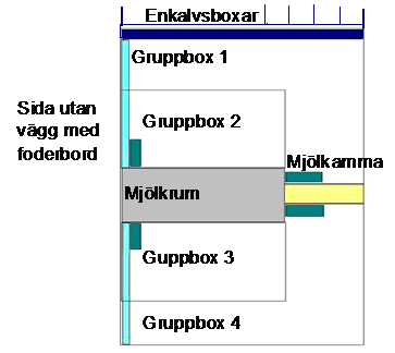 för sinkor och därifrån flyttades korna när de närmade sig kalvning till en stor gemensam kalvningsbox.