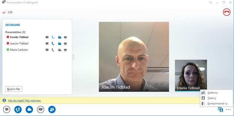 Gallerivy - visar bild från alla deltagare, om ni är fler än två. Talarvy - visar presentatörens rörliga bild eller foto längst ned till höger i mötesfönstret, tillsammans med mötesinnehållet.