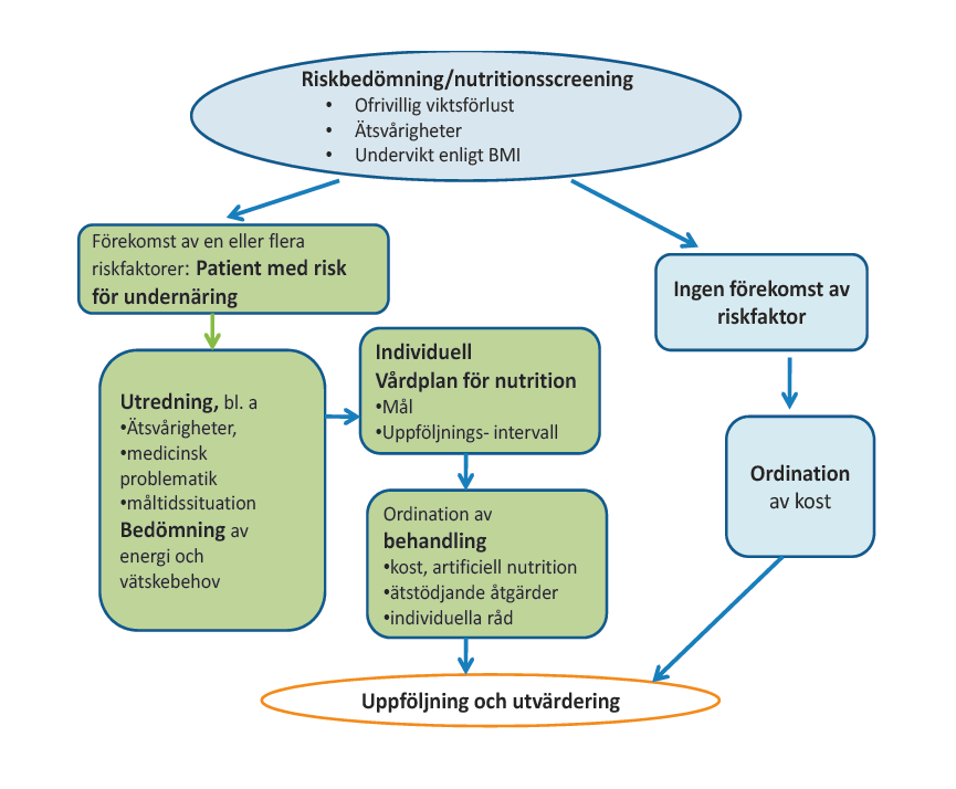 20 (29) 8 Specifika nutritionsåtgärder inom hälsooch sjukvård Figur 1 Nutritionsvårdsprocessen, Näring för god vård och omsorg, Socialstyrelsen 2011.