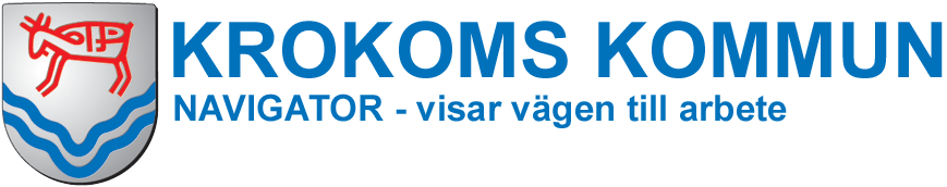 Lägesrapport Projektnamn: Navigator Diarienummer: 2008-3070068 Period: maj-juni 2010 1. Verksamheten i projektet Övergripande Perioden omfattar verksamhetens 25:e och 26:e månad.