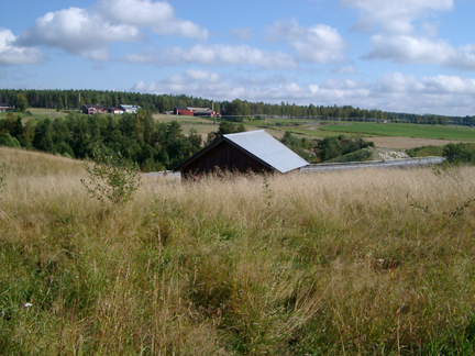 Fig 1: Den röda fläcken med rödockraliknande korn.