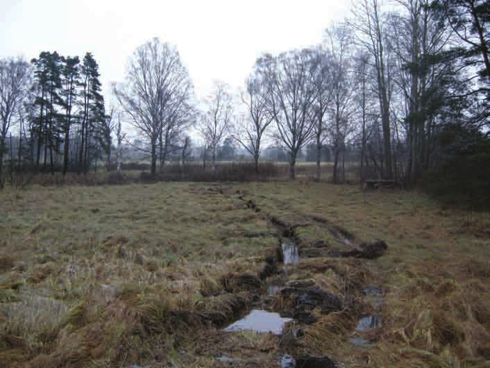 Topografi och fornlämningsmiljö Utredningsområdet ligger sydöst om Täby kyrkby. Markområdet avgränsas i väster av järnvägen och i övriga väderstreck gränsar det till obebyggd natur- och odlingsmark.