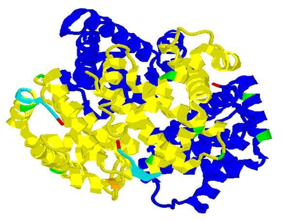 HbA 1c : andelen hexapeptider