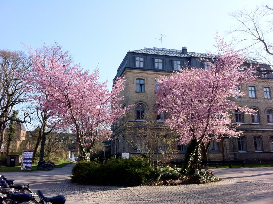 Institutionen för psykologi 1200 helårsstudenter Ca 20 fristående kurser