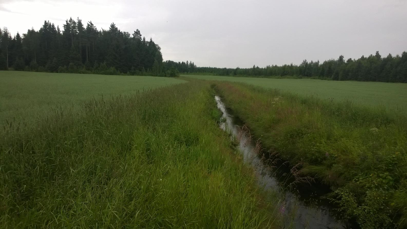 Repetition av tvärvillkoren 1 meters remsa längs utfallsdiken och