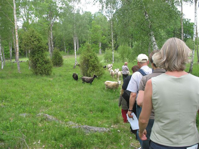 LÅNGALMASTIGEN Stigen slingrar sig genom skogen i Långalma by upp mot Lösholmen och förbi Storvreten och tillbaka till Långalma, en sträcka på 5 km.