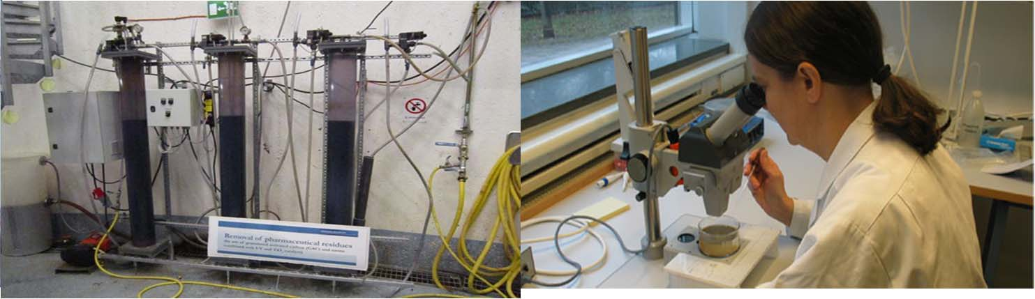 DP3 Kartläggning och jämförelse avseende reduktion av fokusämnen Status, jämförelsebas Kunskapshöjning Henriksdal, Himmerfjärdsverket, Sjöstadsverket Umeå DP4 Nya och kompletterande tester/analyser