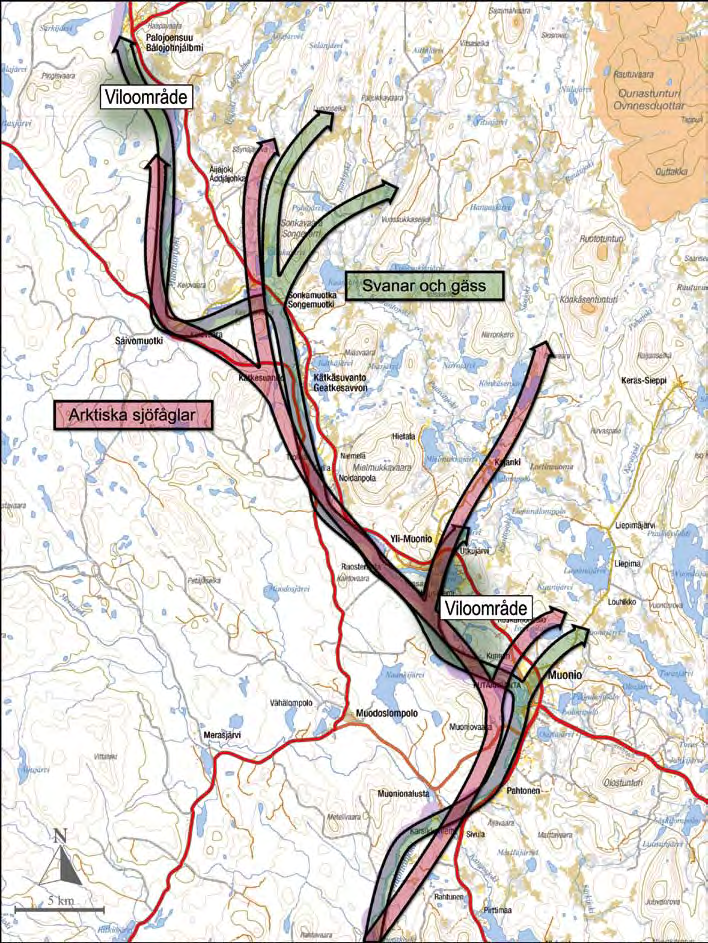 PÅVERKAN PÅ SVENSKA SIDAN PÅVERKAN PÅ SVENSKA SIDAN 7.2.2 Beskrivning av områdets naturvärden och fågelbestånd Sydväst om Mielmukkavaara, på ca.