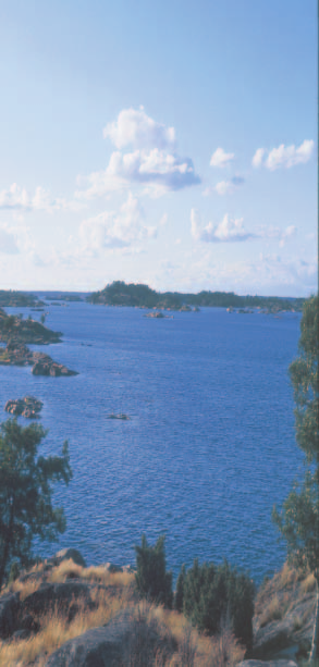 Välkommen ut i skärgården! Den östgötska skärgården bjuder på en unik natur och ett rikt fågelliv.