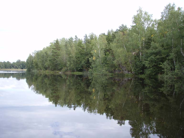 Bild 16. Sotterns östra del är djupare och har bitvis öppna stränder. Sammantaget påträffades hela 29 arter av makrofytarter vid inventeringen, undantaget övervattenvegetation.